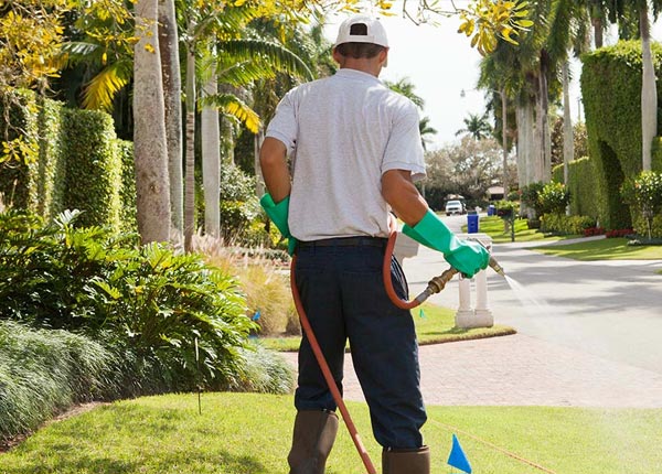 About Cawker City KS Pest Control